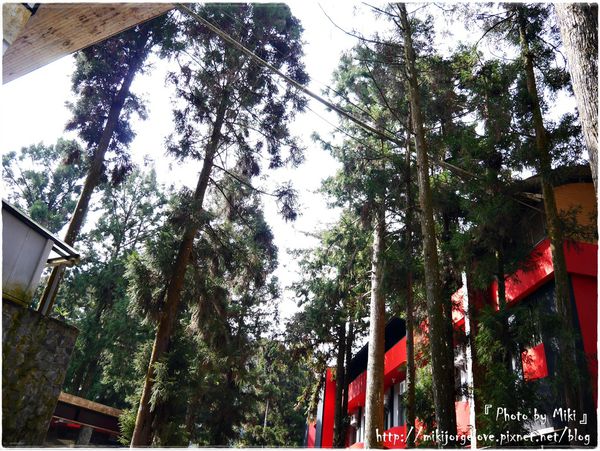 P1280648.JPG P1280648.JPG