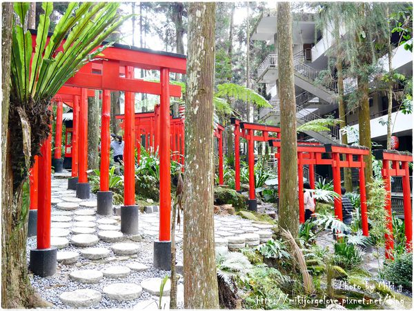 P1280645.JPG P1280645.JPG