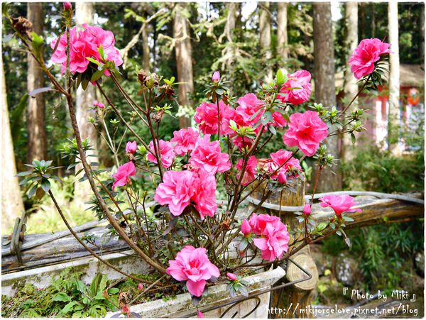 P1280641.JPG P1280641.JPG