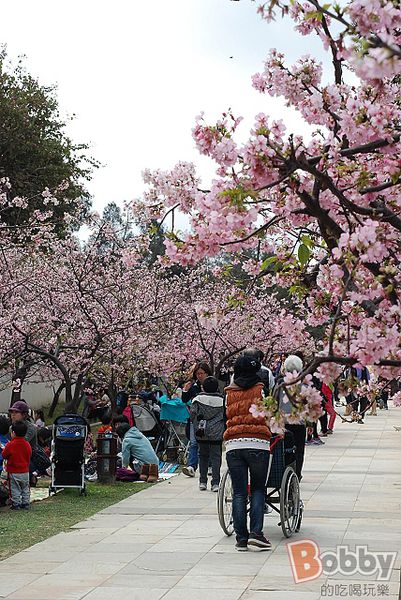 DSC_3574.jpg DSC_3574.jpg