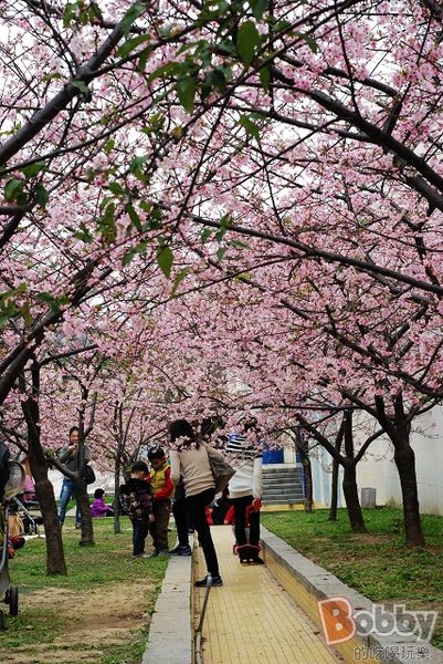 DSC_3592.jpg DSC_3592.jpg