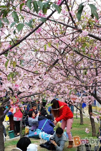 DSC_3581.jpg DSC_3581.jpg