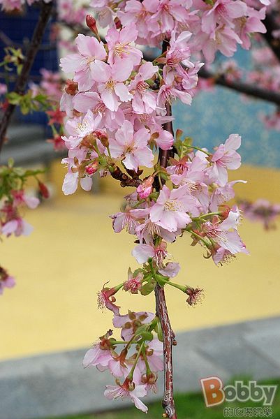 DSC_3573.jpg DSC_3573.jpg