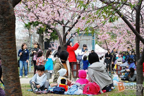 DSC_3580.jpg DSC_3580.jpg