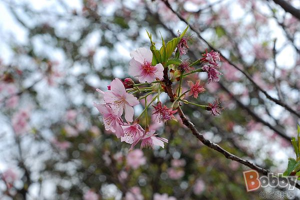 DSC_3566.jpg DSC_3566.jpg