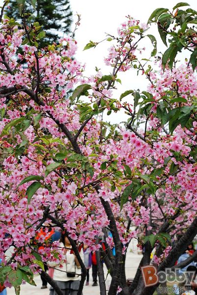 DSC_3590.jpg DSC_3590.jpg