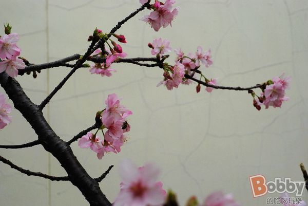 DSC_3593.jpg DSC_3593.jpg