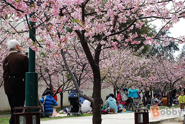 DSC_3575.jpg DSC_3575.jpg