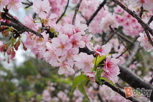 DSC_3568.jpg DSC_3568.jpg