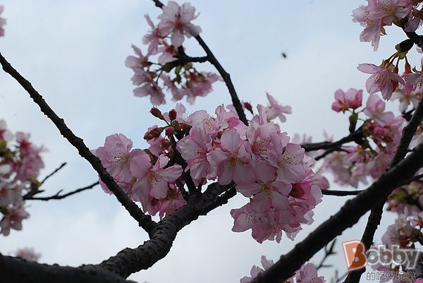 DSC_3567.jpg DSC_3567.jpg