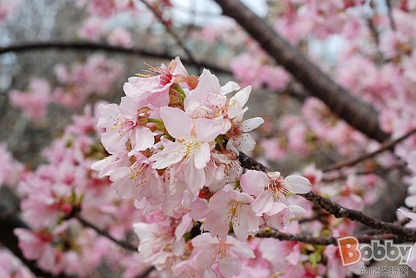 DSC_3570.jpg DSC_3570.jpg