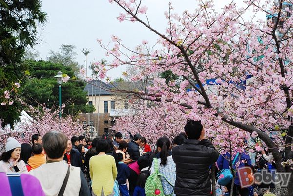 DSC_3582.jpg DSC_3582.jpg