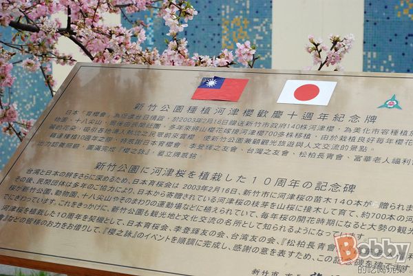 DSC_3571.jpg DSC_3571.jpg