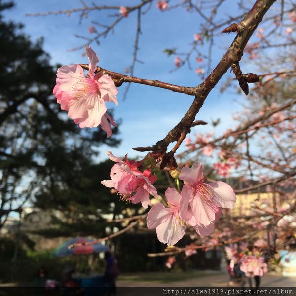 IMG_4088.JPG IMG_4088.JPG