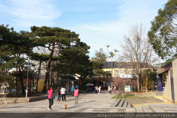 IMG_0582.JPG IMG_0582.JPG