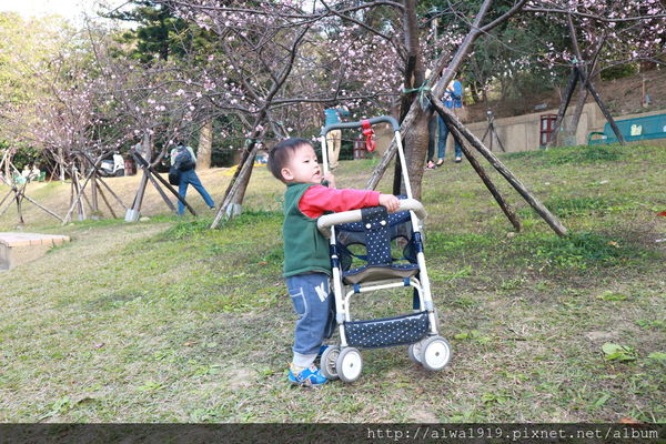 IMG_0620.JPG IMG_0620.JPG