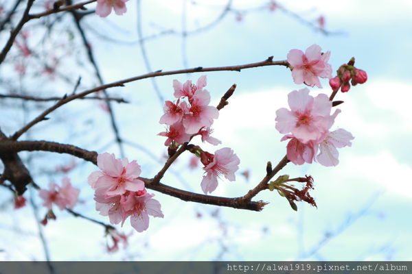 IMG_0646.JPG IMG_0646.JPG