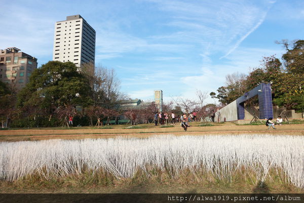 IMG_0615.JPG IMG_0615.JPG