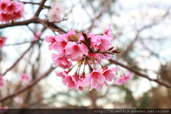 IMG_0657.JPG IMG_0657.JPG