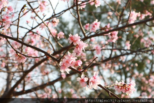 IMG_0567.JPG IMG_0567.JPG