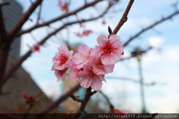 IMG_0641.JPG IMG_0641.JPG