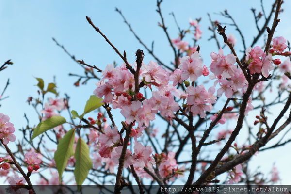 IMG_0597.JPG IMG_0597.JPG