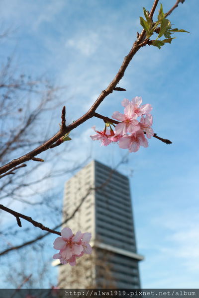 IMG_0586.JPG IMG_0586.JPG