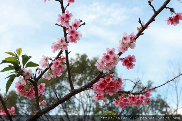 IMG_0655.JPG IMG_0655.JPG