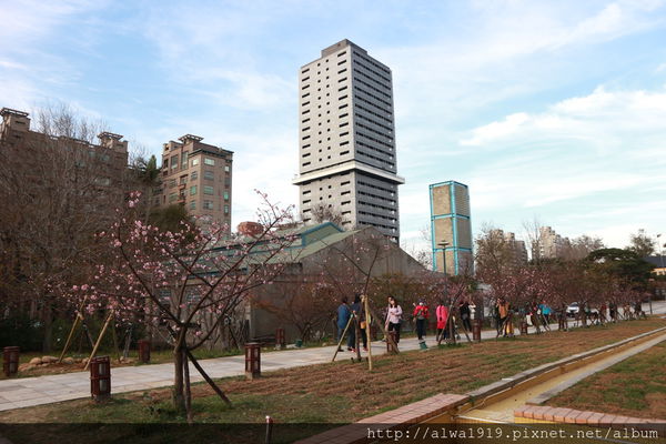 IMG_0638.JPG IMG_0638.JPG