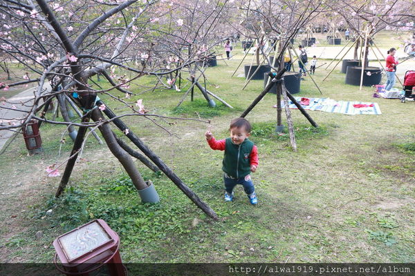 IMG_0630.JPG IMG_0630.JPG