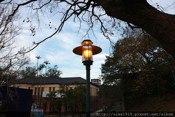 IMG_0665.JPG IMG_0665.JPG