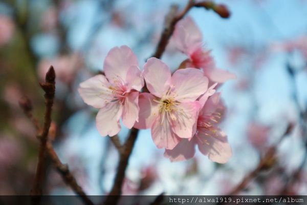 IMG_0604.JPG IMG_0604.JPG