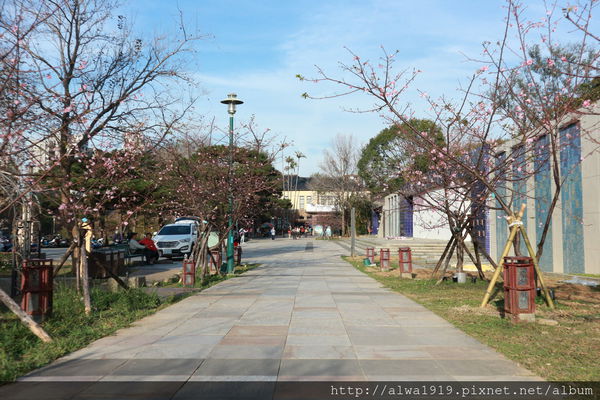 IMG_0591.JPG IMG_0591.JPG