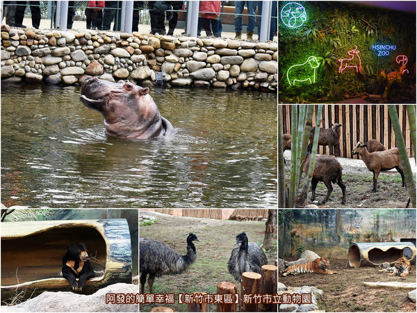 新竹公園17-動物園組圖.jpg