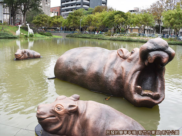 新竹公園24-河馬樂樂家族.JPG