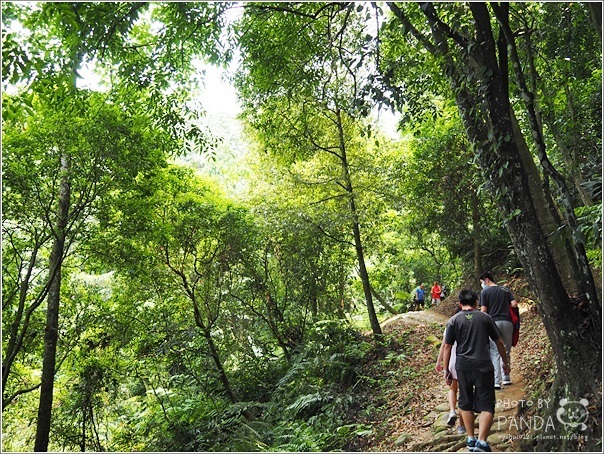 十一指古道 (12)