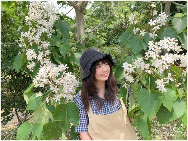 十一指古道 (16)