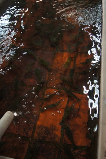 新竹餐廳,新竹餐廳推薦,新竹美食餐廳,新竹美食餐廳推薦,新竹推薦美食餐廳,新竹活蝦餐廳,新竹海鮮餐廳,新竹尾牙餐廳,新竹謝師宴餐廳,新竹春酒餐廳,新竹火鍋餐廳,新竹聚餐餐廳,新竹聚餐餐廳推薦,新竹餐廳推薦ptt,新竹美食推薦ptt,新竹聚餐推薦ptt,竹北餐廳,竹北餐廳推薦,竹北美食餐廳,竹北美食餐廳推薦,竹北推薦美食餐廳,竹北活蝦餐廳,竹北海鮮餐廳,竹北尾牙餐廳,竹北謝師宴餐廳,竹北春酒餐廳,竹北火鍋餐廳,竹北聚餐餐廳,竹北聚餐餐廳推薦,竹北餐廳推薦ptt,竹北美食推薦ptt,竹北聚餐推薦ptt,新竹美食餐廳推薦,竹北海鮮餐廳,新竹聚餐餐廳推薦,推薦新竹美食首選,新竹活蝦推薦