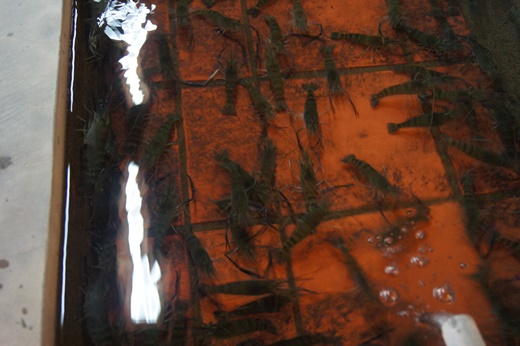 新竹餐廳,新竹餐廳推薦,新竹美食餐廳,新竹美食餐廳推薦,新竹推薦美食餐廳,新竹活蝦餐廳,新竹海鮮餐廳,新竹尾牙餐廳,新竹謝師宴餐廳,新竹春酒餐廳,新竹火鍋餐廳,新竹聚餐餐廳,新竹聚餐餐廳推薦,新竹餐廳推薦ptt,新竹美食推薦ptt,新竹聚餐推薦ptt,竹北餐廳,竹北餐廳推薦,竹北美食餐廳,竹北美食餐廳推薦,竹北推薦美食餐廳,竹北活蝦餐廳,竹北海鮮餐廳,竹北尾牙餐廳,竹北謝師宴餐廳,竹北春酒餐廳,竹北火鍋餐廳,竹北聚餐餐廳,竹北聚餐餐廳推薦,竹北餐廳推薦ptt,竹北美食推薦ptt,竹北聚餐推薦ptt,新竹推薦美食餐廳,竹北餐廳推薦,新竹聚餐餐廳,竹北新鮮活蝦餐廳,新竹宵夜聚餐