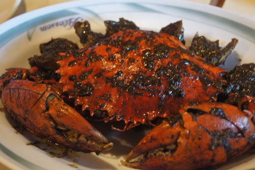 黃金海岸活蝦之家餐廳：新竹竹北美食餐廳→生猛活蝦餐廳聚餐地點介紹