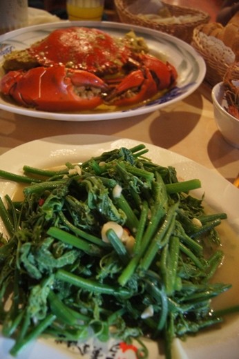 黃金海岸活蝦之家餐廳:新竹美食餐廳推薦海鮮這裡吃,竹北知名活蝦聚餐餐廳!