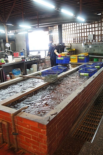 黃金海岸活蝦之家餐廳:竹北美食推薦餐廳!新竹人必推的活蝦聚餐好所在※愛吃海鮮的你來這裡對了!!