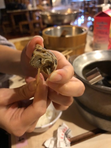 黃金海岸活蝦之家餐廳:【新竹美食】吃過最新鮮美味的海鮮活蝦料理★非常適合聚餐的餐廳!