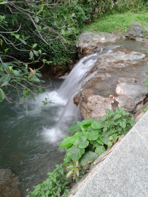 StayReal Café by Gabee:STAYREAL CAF'E by GABEE+北投遊