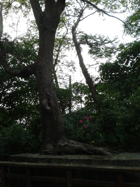 StayReal Café by Gabee:STAYREAL CAF'E by GABEE+北投遊