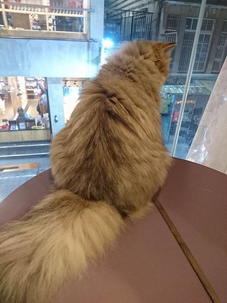 17201071_1427003870664631_4302707556904169702_n