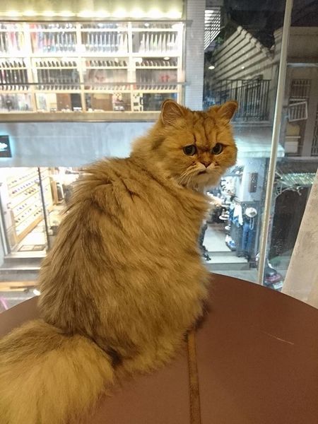 17098379_1427003377331347_8458003601628255394_n