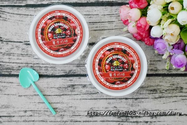 【高雄伴手禮】火星糖 星球冰淇淋 #手工冰淇淋 #水果冰淇淋 #手工製作 (16).JPG