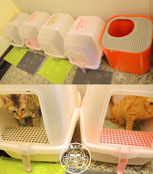 野喵中途咖啡:呷飽祙【新北三重・野喵中途咖啡】喵星人左擁右抱用餐 野喵中途咖啡:呷飽祙【新北三重・野喵中途咖啡】喵星人左擁右抱用餐