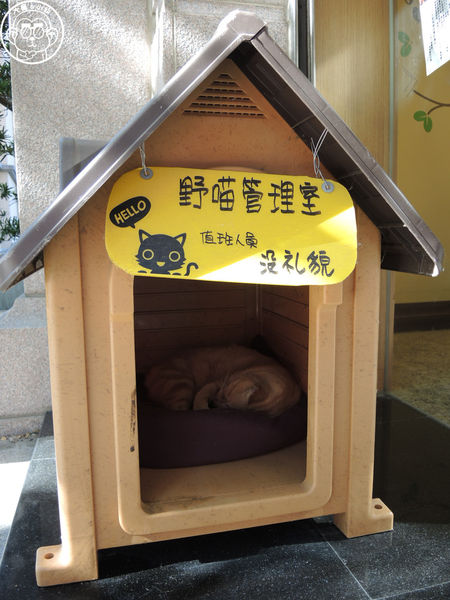 野喵中途咖啡:呷飽祙【新北三重・野喵中途咖啡】喵星人左擁右抱用餐 野喵中途咖啡:呷飽祙【新北三重・野喵中途咖啡】喵星人左擁右抱用餐